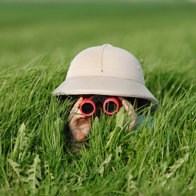 Kind mit Safarihut und Fernglas schaut aus dichtem Gras heraus